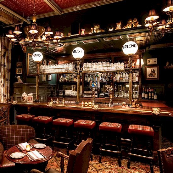 Top 5 Gastropubs in Manchester: Where Tradition Meets Gourmet Cuisine