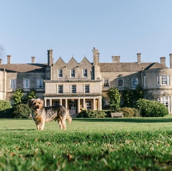 Top Dog-Friendly Boutique Hotels in the Cotswolds: A Perfect Escape with Your Furry Friend