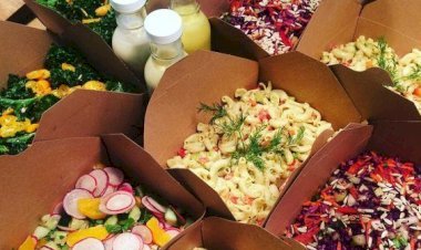 Top 5 Vegan and Plant-Based Eateries in Manchester You Must Try