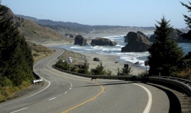 7-Day Oregon Coast Road Trip Itinerary (2025) – Scenic Stops from Astoria to Bandon
