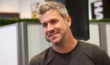 Ant Anstead Net Worth 2025, Biography, Career, Relationships & Latest Updates