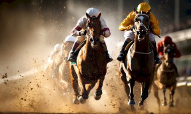 Unibet Horse Racing Review 2025: Odds, Features, Bonuses & Mobile App