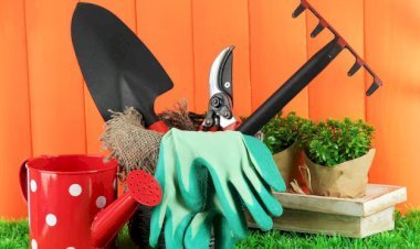 15 Essential Gardening Tools Names for Every Home Gardener in 2025