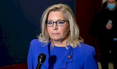 Liz Cheney Net Worth 2025: Biography, Salary, Career & Life Facts