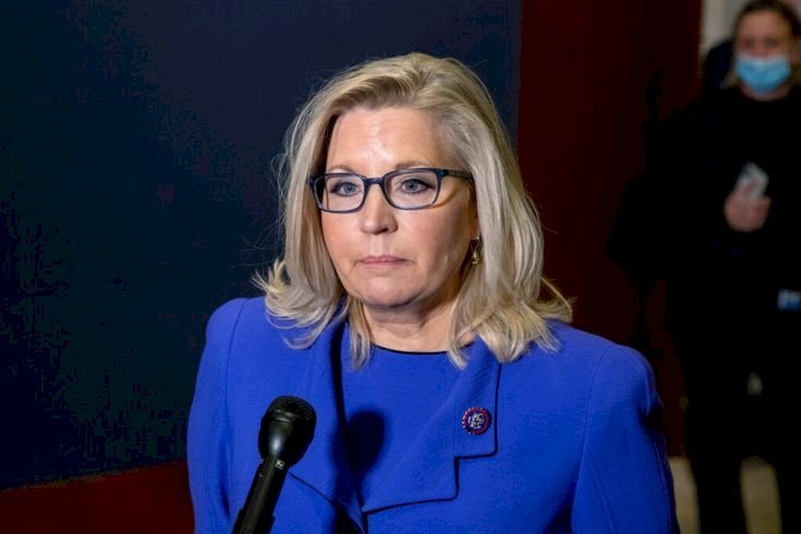 Liz Cheney Net Worth 2025: Biography, Salary, Career & Life Facts