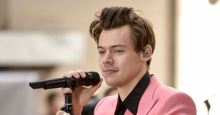 Harry Styles Net Worth 2025: Music, Movies & Business
