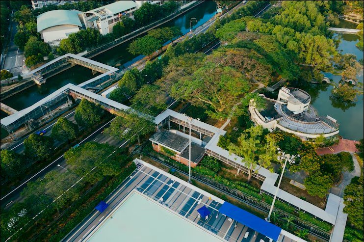 Green Roofs in the UK: Eco-Friendly Roofing Solutions for a Sustainable Future