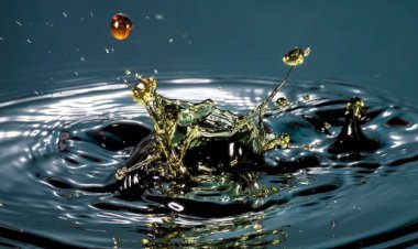 What Is Crude Oil? Types, Uses, Prices & Environmental Impact (2025)