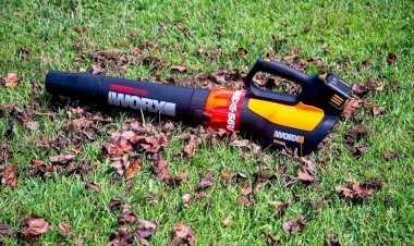 Top 7 Cordless Leaf Blower Vacuums of 2025: Lightweight, Powerful & Worth It