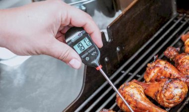 Why a Wireless Meat Thermometer Is the Secret to Perfect Cooking in 2025
