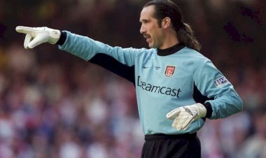David Seaman Biography 2025: Career, Family, Net Worth & Legacy