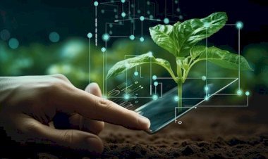 Top Agriculture Technology Companies Revolutionizing Farming 2025
