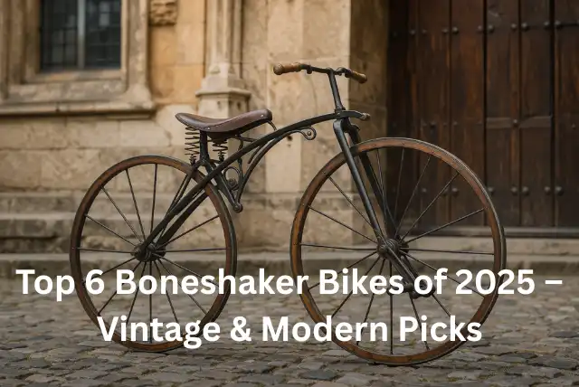 Best boneshaker bikes 2025 vintage velocipede bicycle