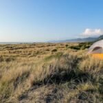 Best Campsites in California (2026) | Top 10 Outdoor Spots
