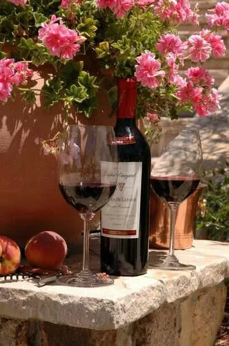 Top 10 Best Budget Red Wines Under £10 in the UK (2026 Guide)