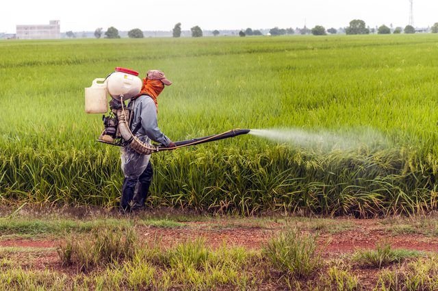 Dangerous Chemicals in Everyday Products: What You Need to Know