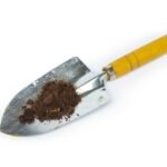 15 Essential Gardening Tools Names for Every Home Gardener in 2026