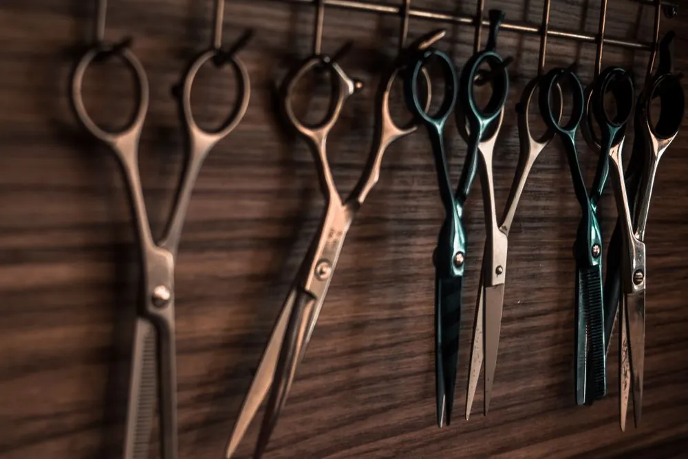 HairFin Net Worth: Honest Look at the Shark Tank Haircut Tool Business
