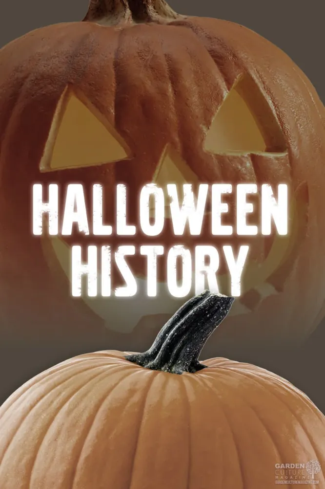 A Complete Guide to Decorating Halloween Pumpkins in 2026