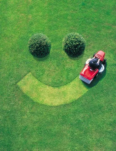 Top Lawn Care Tips UK 2026 | Healthy Garden Guide