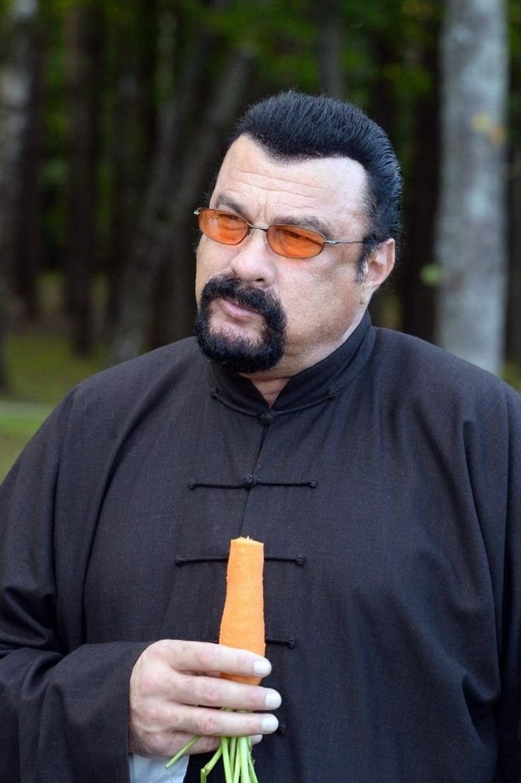Steven Seagal Net Worth 2026 – Career, Wealth & Life Updates