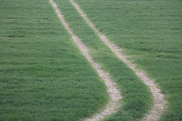 Tyre tracks curving across a green field