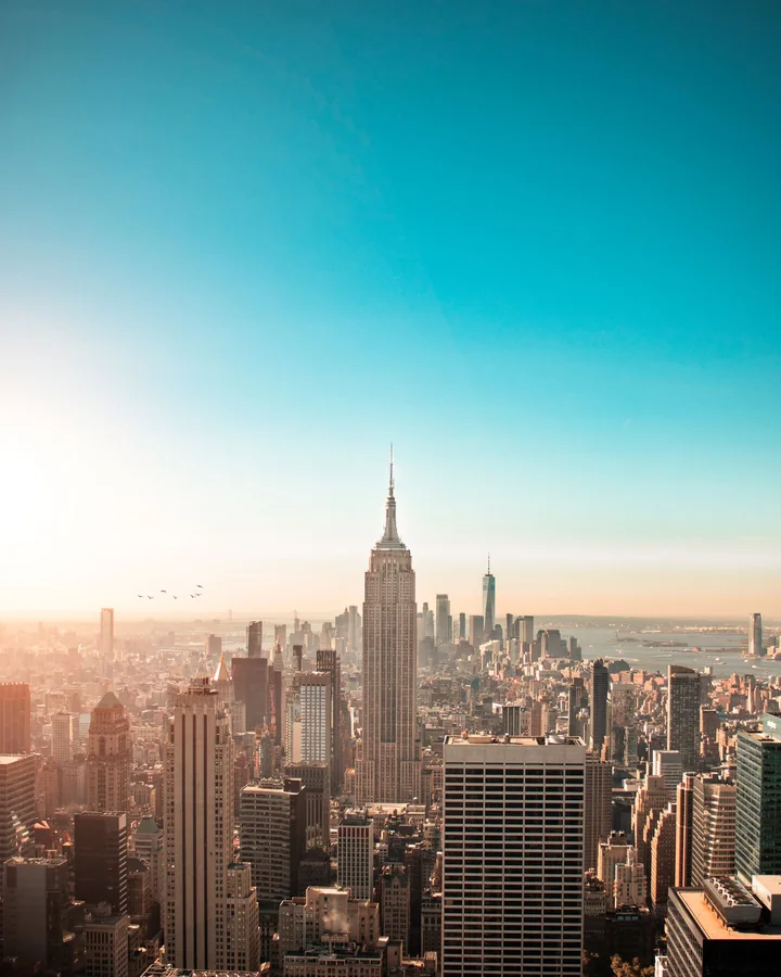 A city skyline under a pale sky