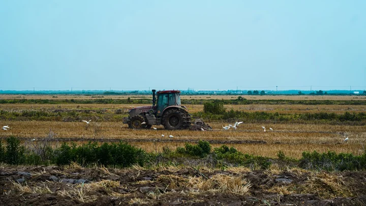 A tractor working a field under a clear blue sky