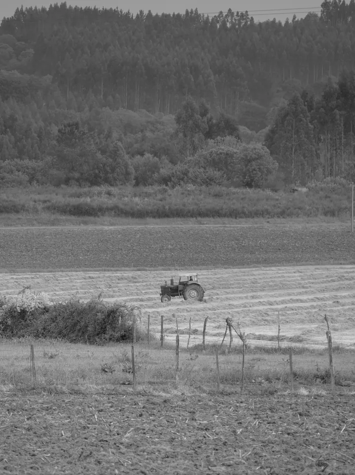 A black and white view of open fields and hedgerows