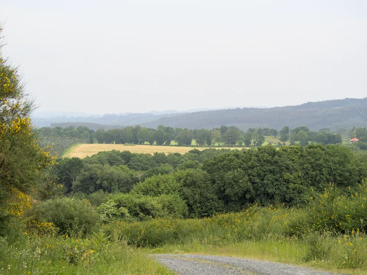A view of rolling countryside fields