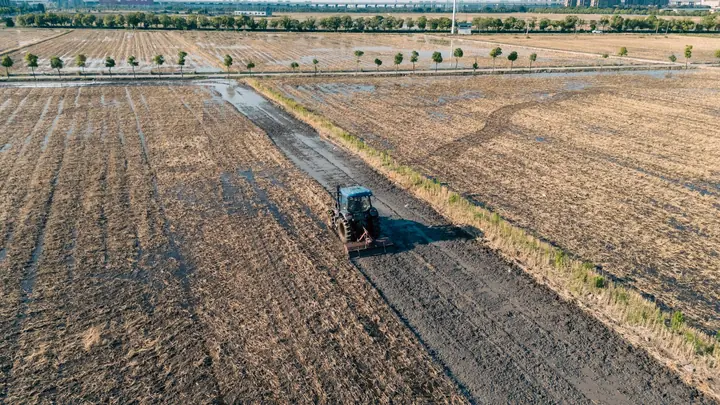 A tractor working a ploughed field beside a track