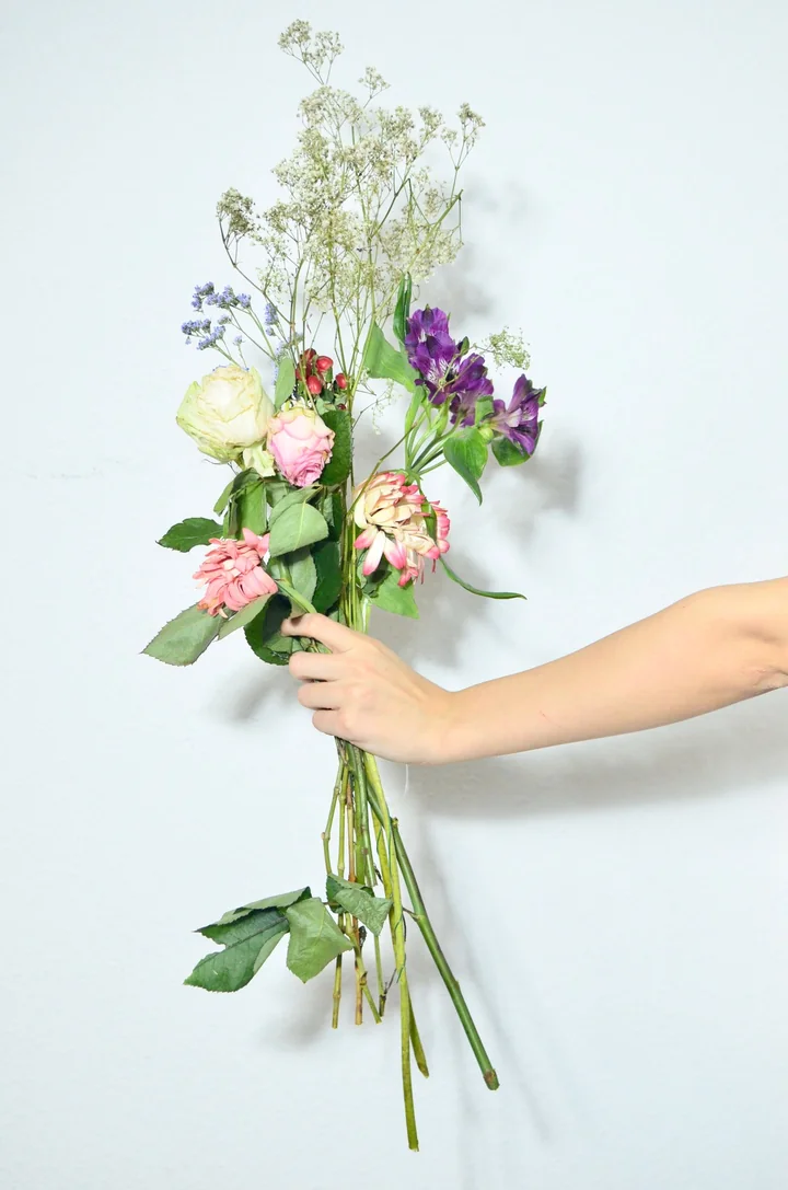 A bouquet of flowers held out against a plain wall