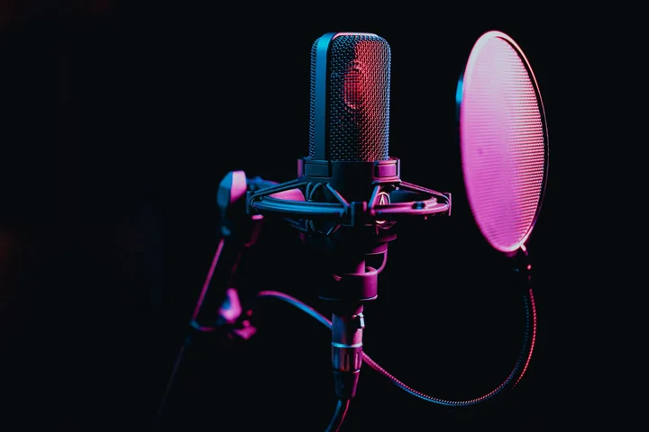 A studio condenser microphone with a pop shield