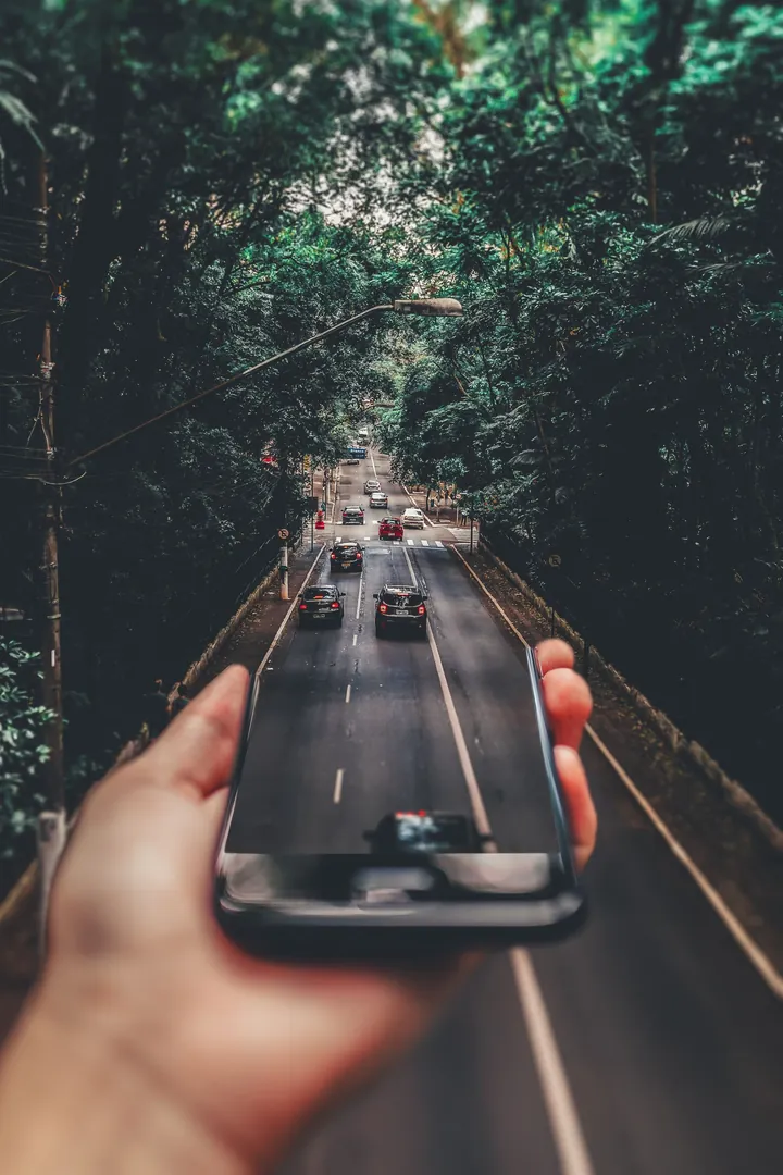 A forest road seen through a car windscreen