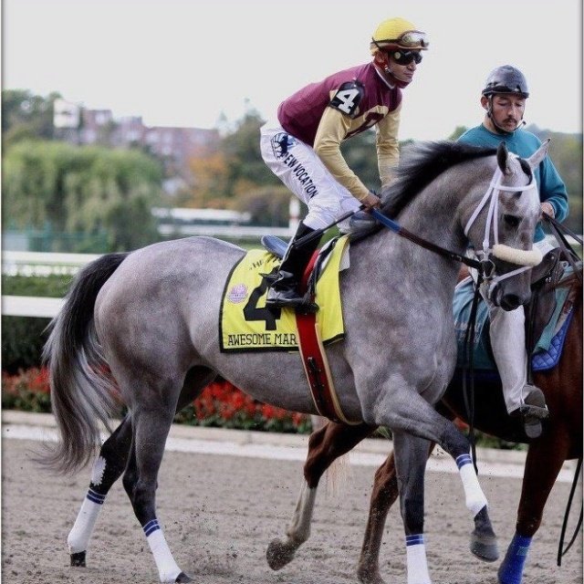 Unibet Horse Racing Review 2026: Odds, Features, Bonuses & Mobile App