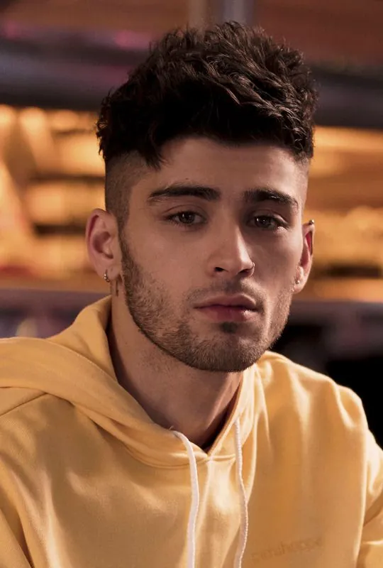 Zayn Malik Net Worth 2026: Biography, Career, Income & Life Updates